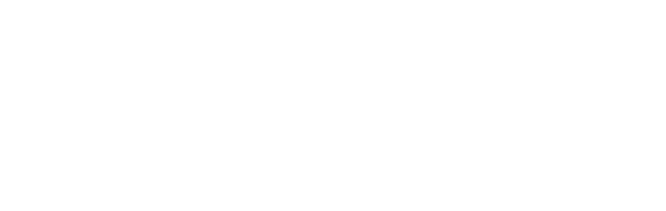Paneuropa Logo